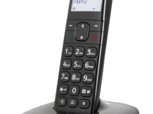 Dect Doro 1010